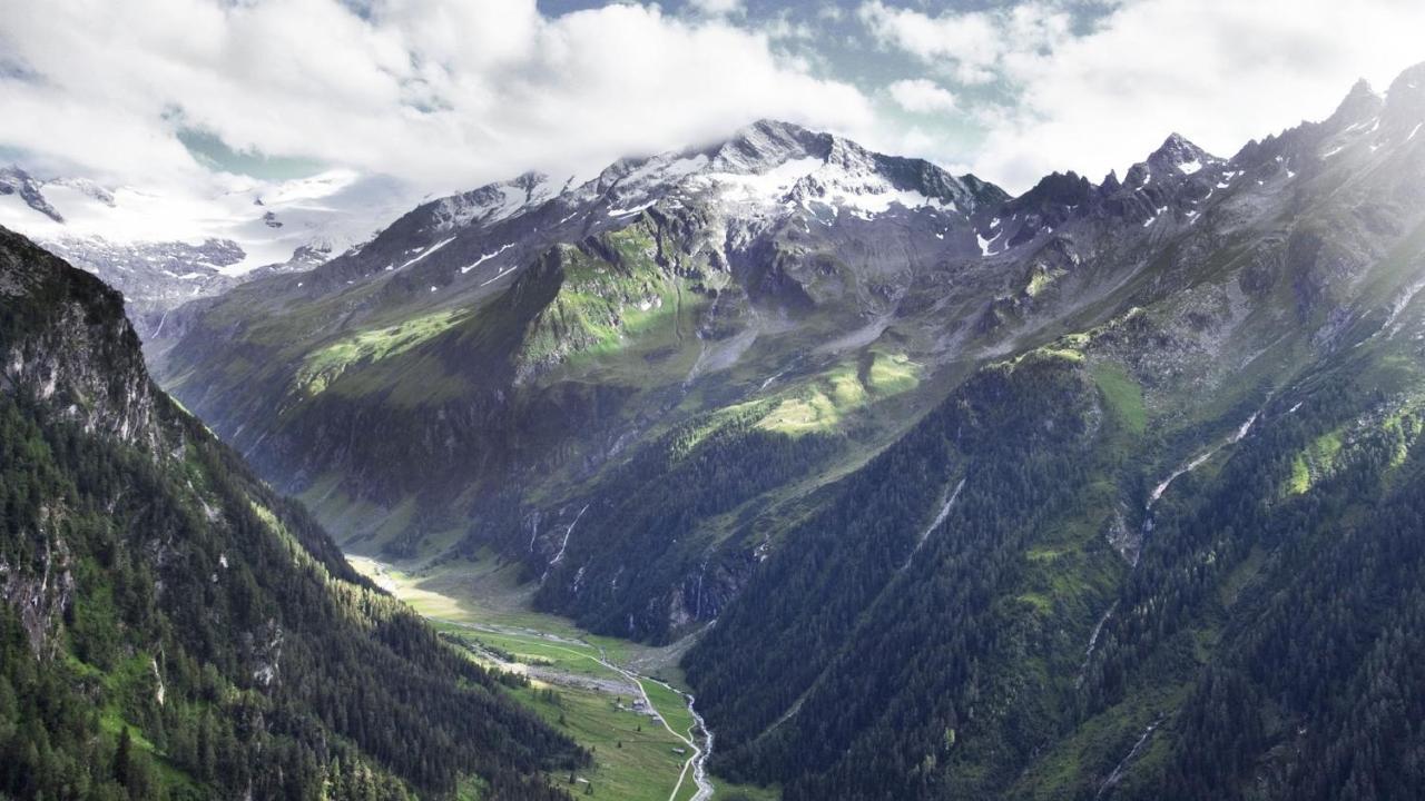 Apartmán Almstube Fritz Wald im Pinzgau Exteriér fotografie