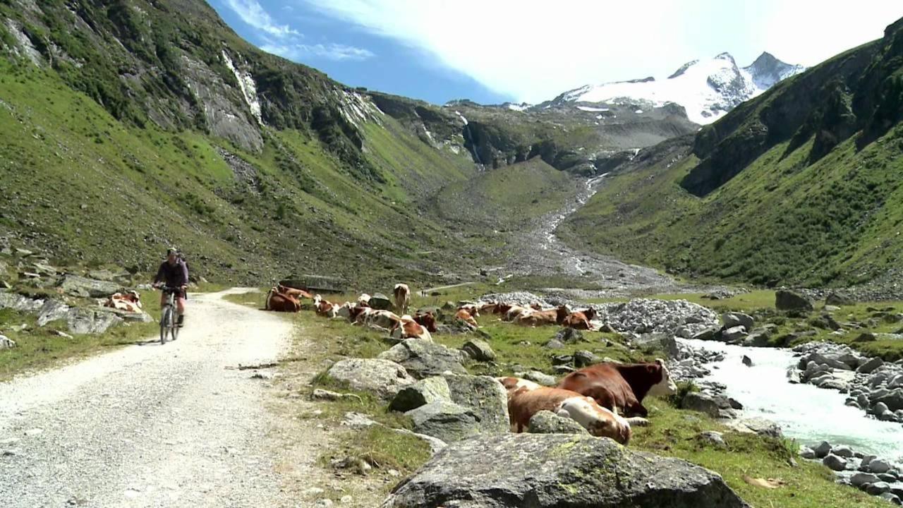 Apartmán Almstube Fritz Wald im Pinzgau Exteriér fotografie